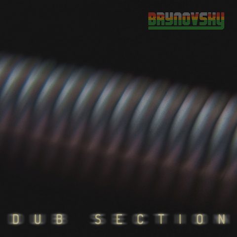 Dub Section – One Track Every Friday
